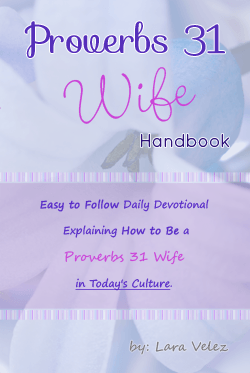Proverbs 31 Wife Handbook