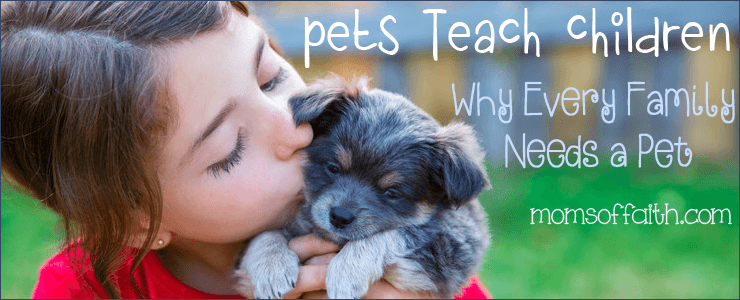 Pets Teach Children: Why Every Family Needs a Pet #pets #family