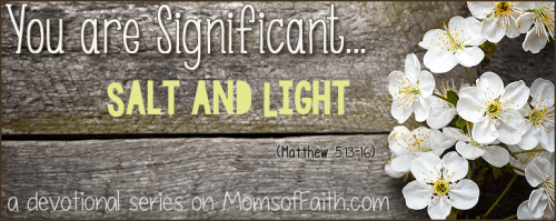 You are Significant: Salt and Light